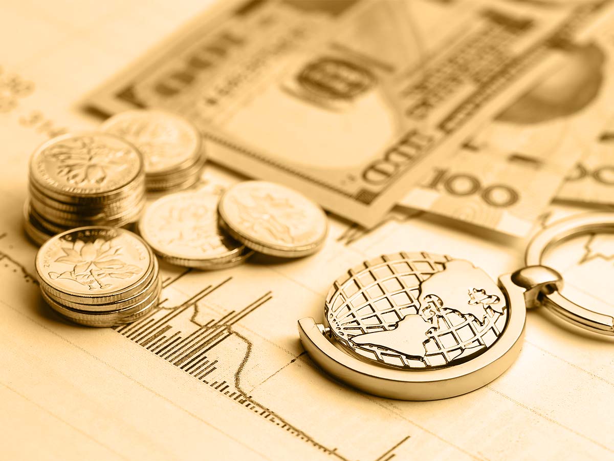 صورة عن الشركة